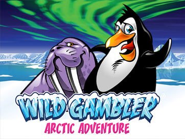 Wild Gambler Arctic Adventure